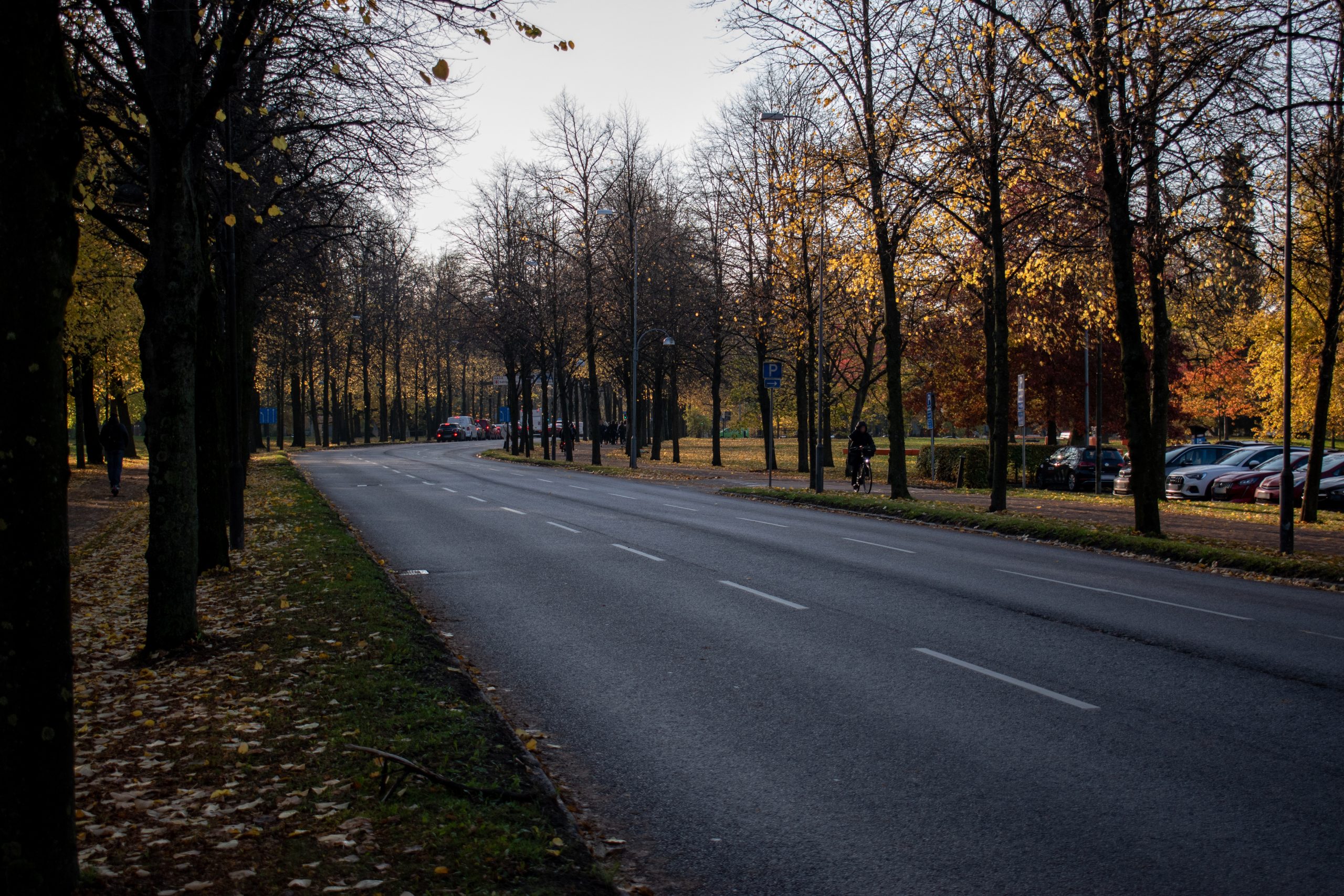 Spårarbete begränsar framkomligheten i 